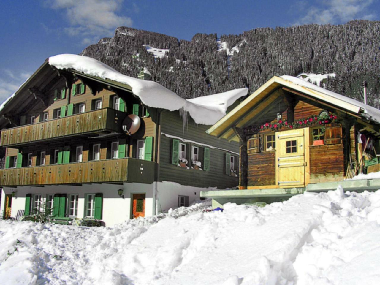 גרינדלוולד Apartment Chalet Auf Dem Vogelstein-2 By Interhome מראה חיצוני תמונה